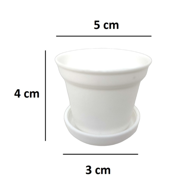 Maceta de Plastico Blanca - Image 4