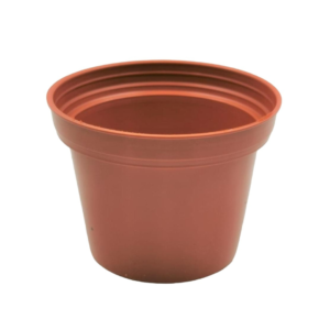 Diseño sin título (15) Maceta de Plástico 3 Pulgadas Café