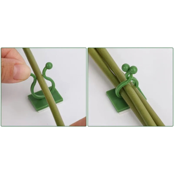 Clip Pared - Image 2