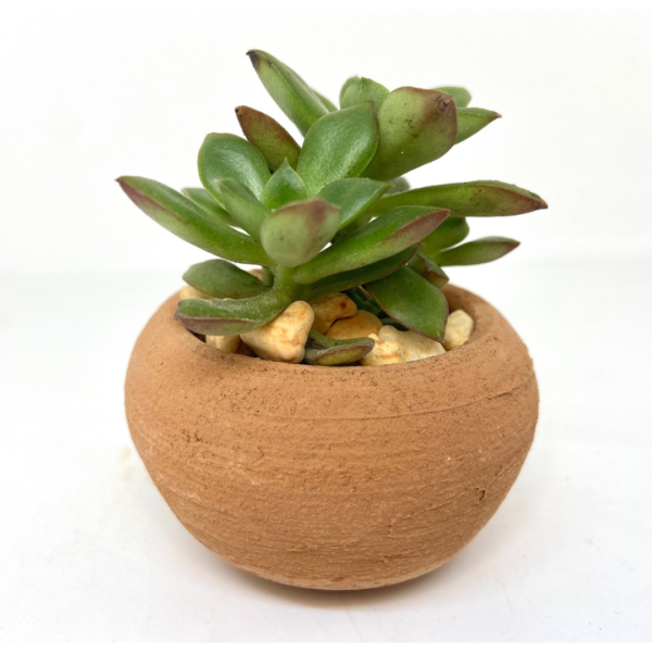 Maceta Esfera 1 - Image 4