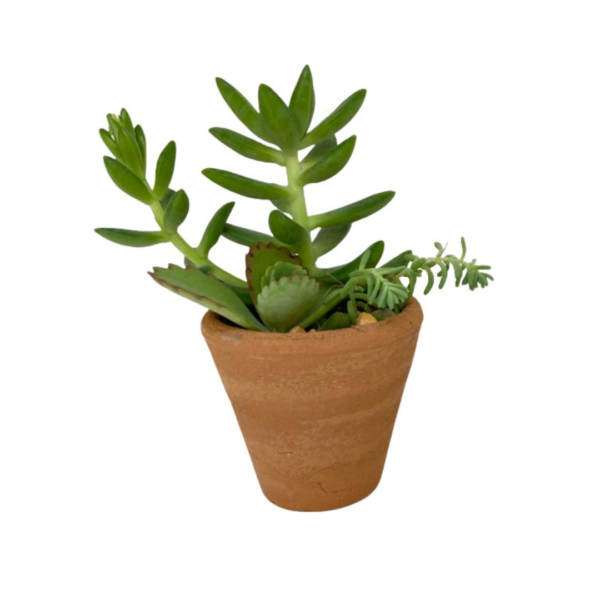 Maceta Vaso 1 - Image 3