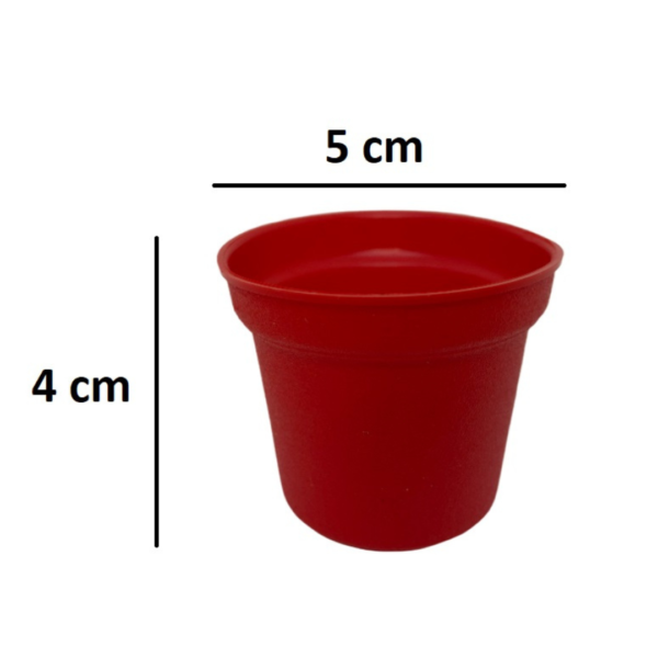 Maceta de Plastico Cafe - Image 3
