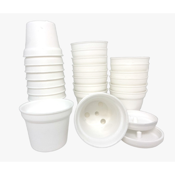 Maceta de Plastico Blanca - Image 2