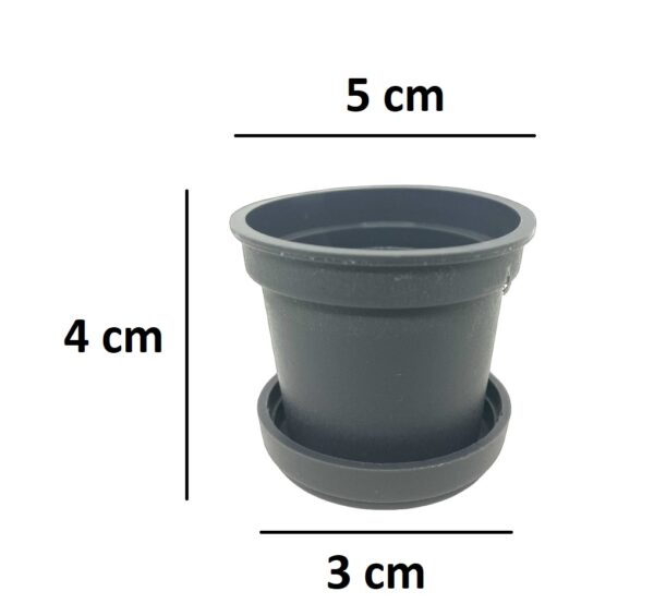 Maceta de Plastico Gris - Image 4
