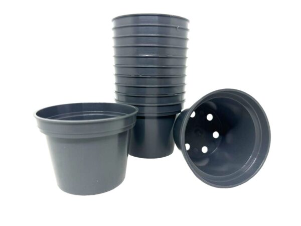 Maceta de Plástico 3 Pulgadas Gris - Image 3