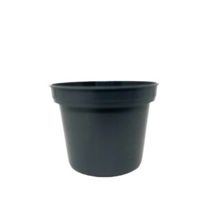 Imagen de WhatsApp 2024-10-25 a las 12.39.19_beadbafb Maceta de Plástico 3 Pulgadas Gris