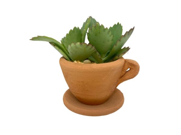 Maceta Taza 1 - Image 2